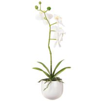 položky Umelé kvety orchidey v kvetináči Phalaenopsis V33 cm