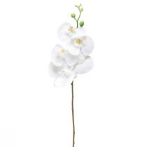 položky Biela umelá orchidea Phalaenopsis Real Touch 85 cm