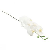 položky Biela umelá orchidea Phalaenopsis Real Touch 85 cm