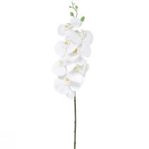 položky Biela umelá orchidea Phalaenopsis Real Touch H83cm