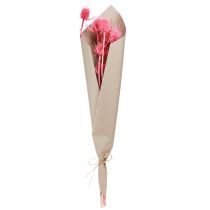 Článok Dekorácia zo sušených divých pichliakov, ružové bodliaky, 53 cm, 10 hlávok