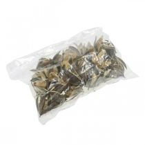 položky Prírodná dekorácia z divokej ľalie, exotické sušené kvety 6-8 cm, 50 ks