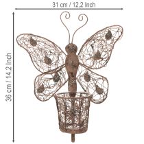 položky Kovový lampión, nástenná dekorácia, motýľ, hrdzavá úprava, 36,5 cm
