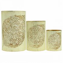 položky Jesenný lampáš kovová dekorácia V20,5/15,5/10,5cm sada 3ks