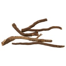 Článok Dekoratívne drevené konáre a podnože, prirodzene sušené, 18 cm, 500 g