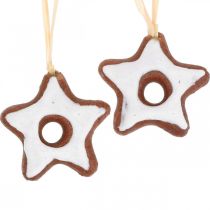 položky Ozdoby na vianočný stromček škoricové hviezdy deco hviezda plast 5cm 24ks