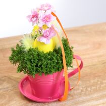 položky Kvetináč s podšálkou pre kreatívne záhrady, 11 cm, 6 kusov