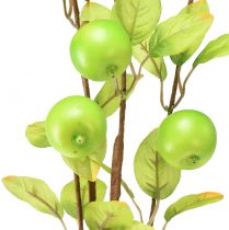položky Umelá dekoračná vetvička jablone zelená 80cm
