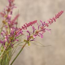 položky Dekoratívna zeleň s jemnými kvetmi pre štýlový dizajn miestnosti 67 cm