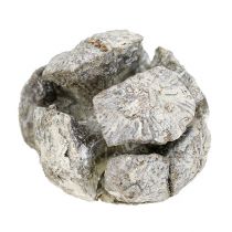 Článok Cyprusové šišky 3 cm bielené 500 g