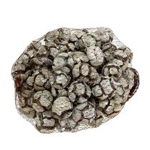Článok Cyprusové šišky 3 cm bielené 500 g