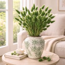 položky Sušený Lagurus (zajačí chvost) 65-70 cm 100 g