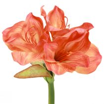 položky Amaryllis dekoračné kvety v oranžovej farbe umelé L55cm 2ks