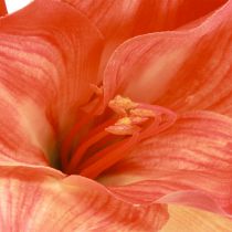 položky Amaryllis dekoračné kvety v oranžovej farbe umelé L55cm 2ks