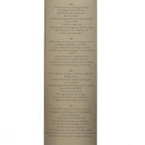 položky Ruža nekonečná s listami konzervovaná Amorosa červená L54cm