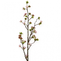 položky Vetva čerešňového kvetu ružová 95 cm