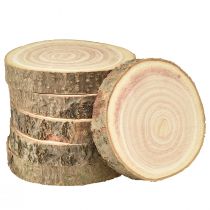 položky Disk stromček Paulownia zvonček strom prírodný Ø12-14cm 6 ks