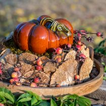 položky Hubka na strom prírodná dekoratívna huba sušená 6cm 1kg
