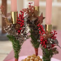 položky Trhač bobúľ červený 23 cm 12 ks