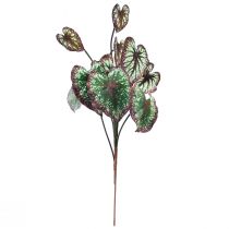 položky Begonia Umelé rastliny Listové Begónie Zelenofialové 62cm