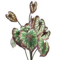 položky Begonia Umelé rastliny Listové Begónie Zelenofialové 62cm
