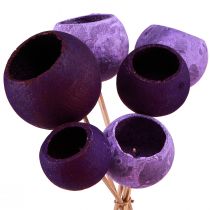 položky Bell Cup na paličke Exotická suchá dekorácia Purple Berry 44cm 15 ks