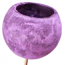 položky Bell Cup na paličke Exotická suchá dekorácia Purple Berry 44cm 15 ks