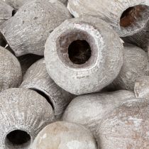 položky Bellgums bielené 2cm - 5cm 500g