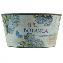 položky Kvetináč na kvetiny hortenzie okrúhly plastový Ø21cm V11cm