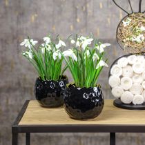 položky Kvetináč Keramický kvetináč Egg Black Čierny Ø12cm 2ks