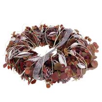 položky Brachyciton černice s polevou 500g