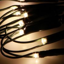 položky Svetelná sieť vonkajších svetiel z buxusu 60 LED Ø35cm