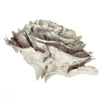 položky Cédrové šišky rezané ako ruža cédrová ruža 4-6cm biela/prírodná 50 kusov