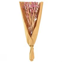 položky Curry Herb Slamienka umelá ružová L28cm 12 ks 1 zväzok