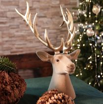 položky Dekoratívna socha jelenej hlavy s veľkými parohmi, 52 cm