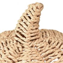 položky Dekoratívna tekvica rafia prírodná rustikálna jesenná dekorácia Ø25cm V25cm