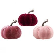 položky Ozdobné tekvice vločkované bordovoružové Ø13cm V11,5cm 3 ks