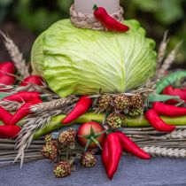 položky Dekoratívna špargľa zelená umelá zelenina L22cm Ø1,5cm 3ks