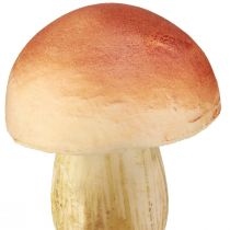 položky Ozdobné šampiňóny na paličkách malé a veľké hnedé H10/11,5cm 8 ks