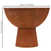 položky Dekoratívna misa s nohou, miska v tvare pohára, hrdzavý kov, Ø20,5 cm, 2 kusy