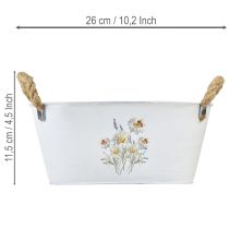 položky Dekoratívna oválna kovová misa, biela, prírodný kvetinový dekor, D26 cm