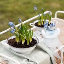 položky Dekoračná miska kovová biela čierna Vintage Ø20,5cm 3ks