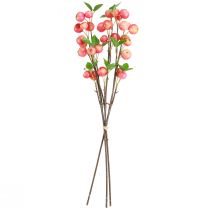 položky Ozdobné konáre okrasné jabloň žltá/červená jeseň zima L58cm 3 ks