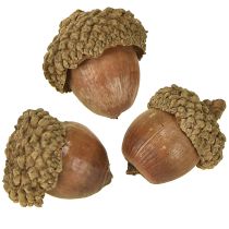 položky Žalude na dekoráciu, jesenná dekorácia, prírodné jesenné plody Ø1,5 – 2,5 cm D1,5 – 3 cm 300 g