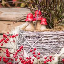 položky Dekorácia z muchotrávky, huby, drevené huby, jesenná dekorácia V6/8/10cm, sada 3 ks