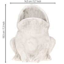 položky Žaba dekoračný kvetináč kvetináč betón sivý V18,5cm