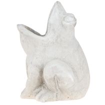 položky Žaba dekoračný kvetináč kvetináč betón sivý V18,5cm