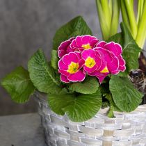 položky Pletený košík ako štýlová kvetinová dekorácia do obývačky. Veľkonočný košík, 23 cm, 6 kusov.