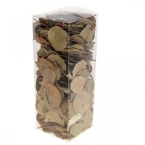 položky Sušené listy, dekoratívne Moneta, aranžmány zo sušených kvetov, prírodné, 200g