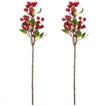 položky Šípková ozdobná vetvička s červenými plodmi L60cm 2 ks